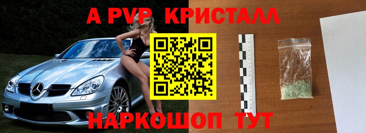 Альфа ПВП СК КРИС Кандалакша