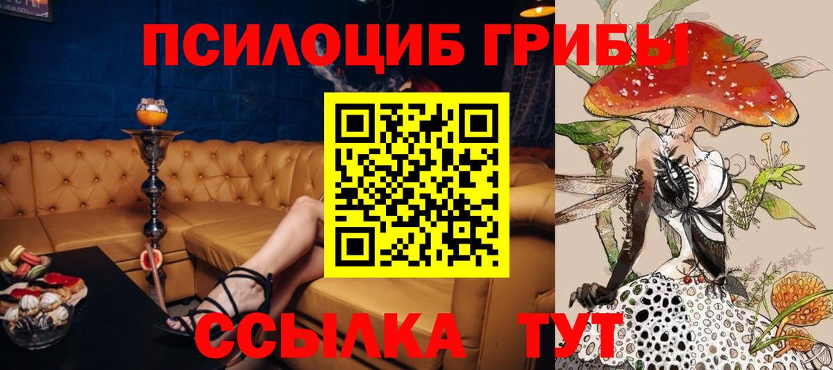 Галлюциногенные грибы ЛСД Кандалакша