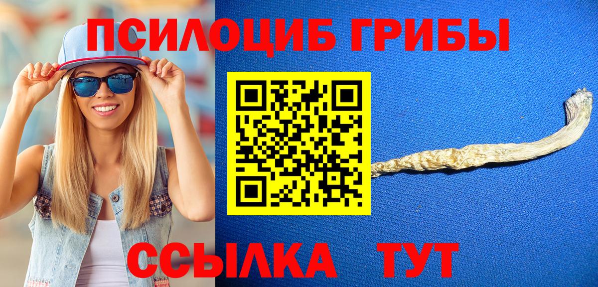 Псилоцибиновые грибы мухоморы  Галлюциногенные грибы MAGIC MUSHROOMS  Вход с VPN  Кандалакша 